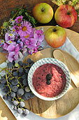 Fruits de saison : pommes, grappes de raisins, mûres et compote fait maison, source de vitamines