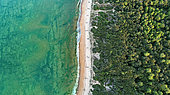 Vert-bois shore on the island of Oleron, on one side the forest, in the middle the beach and on the other side the Atlantic Ocean - Municipality of Dolus d'Oleron - Oleron island - France