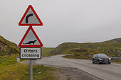 European otter (Lutra lutra) sign on a road in Shetland, Scotland
