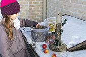 Girl feeding birds in winter, Pas de Calais, France