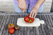Harvesting seeds of old variety tomatoes 'Coeur de boeuf'