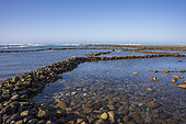 Hunter gatherer fish traps on the shores of the Indian Ocean were built by late stone age people at Struis Point (Struispunt) near Arniston and Waenhuiskrans. Overberg. Western Cape. South Africa.