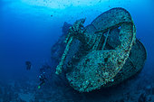 40MM anti-aircraft machine gun on SS Thistlegorm wreck a British cargo steamship built in North East England in 1940 and sunk by German bomber aircraft in 1941. Near Ras Mohammed, Sinai Peninsula, Red Sea, Egypt