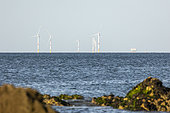 Saint-Nazaire offshore wind farm under construction off Batz-sur-mer, Pays de la Loire, France