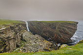 Rocky cliffs of Noss Island, Shetland, Scotland