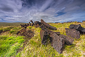 Peat blocks lined up and drying in the sun, on the island of Yell in the north of the Shetland archipelago. The soil here is generally made up of peat, which is still used as fuel in the countryside. Shetland, Scotland