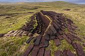 Peat blocks lined up and drying in the sun, on the island of Yell in the north of the Shetland archipelago. The soil here is generally made up of peat, which is still used as fuel in the countryside. Shetland, Scotland
