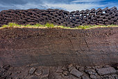 Peat blocks lined up and drying in the sun, on the island of Yell in the north of the Shetland archipelago. The soil here is generally made up of peat, which is still used as fuel in the countryside. Shetland, Scotland