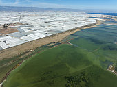 Masses of shimmering plastic greenhouses at the coast of El Ejido. In the foreground the lagoon Salinas de Cerrillos. Aerial view. Drone shot. Almería province, Andalusia, Spain.