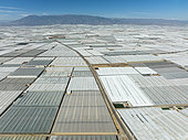 Masses of shimmering plastic greenhouses near El Ejido. Aerial view. Drone shot. Almería province, Andalusia, Spain.