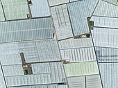 Masses of shimmering plastic greenhouses near El Ejido. Aerial view. Drone shot. Almería province, Andalusia, Spain.