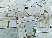 Masses of shimmering plastic greenhouses near El Ejido. Aerial view. Drone shot. Almería province, Andalusia, Spain.