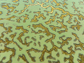 Network of channels and streams at low tide. In the marshland of the Bahía de Cádiz. Aerial view. Drone shot. Cádiz province, Andalusia, Spain.