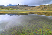 Lake inside the Cotopaxi national park. The volcanoes road. Ecuador.