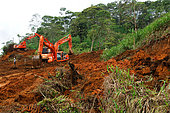 Construction of a road inside the amazonian forest. Amazonia. Ecuador.