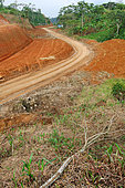 Opening of a road through the amazonian forest. Amazonia. Ecuador.