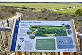 Educational landscape information panel, Baie de somme, France