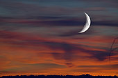 Crescent moon in the clouds at sunset, Doubs, France