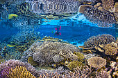 Snorkeling on the reef, a magnificent place to contemplate one of the most beautiful and complex ecosystems on the planet. Mayotte