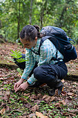 27-year-old researcher in front of the Pracaxi legume (Pentaclethra macroloba) at the "La Selva" research station in Puerto Viejo de Sarapiqui, Costa Rica