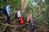 Researchers walking through the rainforest at the "La Selva" research station in Puerto Viejo de Sarapiqui, Costa Rica