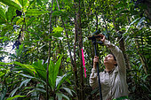 29-year-old assistant researcher working on nitrogen exchange between bacteria and the roots of legumes in the rainforest at the "La Selva" research station in Puerto Viejo de Sarapiqui, Costa Rica
