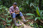 Research assistant working on nitrogen exchanges between bacteria and the roots of legumes in the tropical forest of the "La Selva" research station in Puerto Viejo de Sarapiqui, Costa Rica