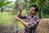 Chercheur installant un filet pour capturer des colibris dans le cadre d'une étude sur la pollinisation, forêt tropicale de la station de recherche "La Selva" à Puerto Viejo de Sarapiqui, Costa Rica