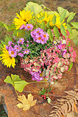 Bouquet d'automne, Aster d'automne (Aster sp), Hortansia (Hydrangea sp), Tournesol vivace (Helianthus multiflorus), Pois de senteur (Lathyrus odoratus)