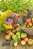 Autumn fruits, Grapes, White figs and different varieties of apples, Canada, Granny Smith, Reinette, Seasonal bouquet