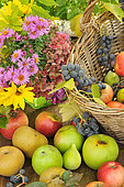 Fruits d'automne, Raisins, Figues blanches et différentes variétés de pommes, Canada, Granny Smith, Reinette, Bouquet de saison