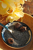 Poppy seeds (Papaver somniferum), used in cooking for their benefits, contain iron, zinc and others