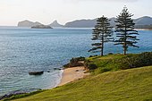 Coast of Lord Howe Island, New South Wales, Australia, Oceania