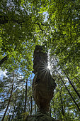 Le rocher de l'Homme, near Dambach, remarkable sandstone rock in the Vosges du Nord Regional Park, France
