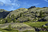 Musty domes of Permian pelites in the Vallée des Merveilles. In glaciology, a roche moutonnée is a rock formation altered by the passage of a glacier. The glacial polish gives the rock a convex, truncated and sometimes striated shape. Les Merveilles restricted area, where thousands of Neolithic engravings dating from the Bronze Age (- 3000 years) are protected - Mercantour National Park - Alpes Maritimes - France