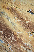 Gravures rupestres de la Voie Sacrée, dans le Vallon de Fontana. Paysan et sa charrue araire) attelée, célèbre pétroglyphe parmi des milliers gravés par martelage en cupules dans des pélites du permien. Zone réglementée des Merveilles et Fontanalba, où sont protégées des milliers de gravures néolithiques datant de l'age du bronze (- 3000 ans) - PN du Mercantour - Alpes Maritimes - France