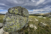 Granite chaos and wind-battered moors in the Mont Aigoual massif. Lake Pises area, Cevennes National Park, Gard, France