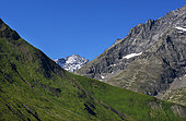 Meije Massif at the beginning of the summer, Ecrins National Park, Alps, France