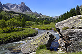 The Clarée river in the Névache valley in summer, Alps, France