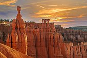 Thor's hammer in the morning, Sunrise Point, Bryce Canyon National Park, Utah, Southwest, USA, North America