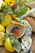 Quince jelly and quince with leaves, fruit of the quince tree Cydonia oblonga, in autumn, bread
