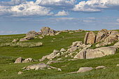 Granitic Chaos, Biotope of the Pallas' Cat or Manul (Otocolobus manul), Steppe, Eastern Mongolia, Mongolia, Asia