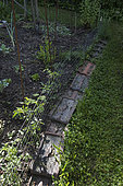 Tiles along the vegetable garden to attract slugs looking for freshness. The tiles can then be lifted to remove the slugs