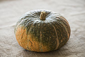 Japanese pumpkin also called kabocha