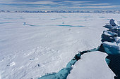 Emperor penguin (Aptenodytes forsteri) pair on sea ice, Larsen B Ice Shelf, Weddell Sea, Antarctica.