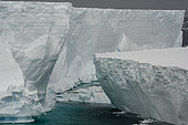Iceberg tabulaire, Barrière de glace Larsen C, mer de Weddell, Antarctique.