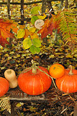 "Hello" Autumn, hanging coloured leaves and pumpkin and butternut squash