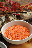 Coral lentils, Lens culinaris, autumnal atmosphere