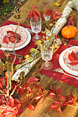 Table set with green and red leaves, Pumpkin (Cucurbita maxima) and candle, Autumn atmosphere