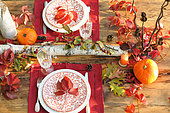Table set with green and red leaves, Pumpkin (Cucurbita maxima) and candle, Autumn atmosphere